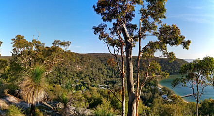 Beautiful afternoon view of mountain ranges, trees and deep blue sky from a trail, Mackerel Trail, Ku-ring-gai Chase National Park, Sydney, New South Wales, Australia
