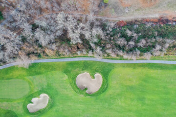 Above view of a green field next to an autumn forest