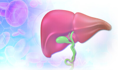 Human liver on medical background. 3d illustration..