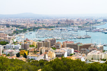 Fototapeta na wymiar Panoramic skyline view of Palma Mallorca marina with yachts. Viewed in the background is La Seu Cathedral.