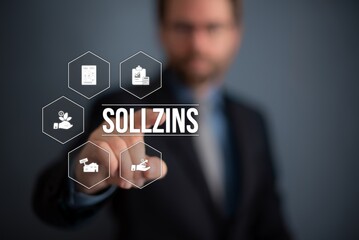 Sollzins