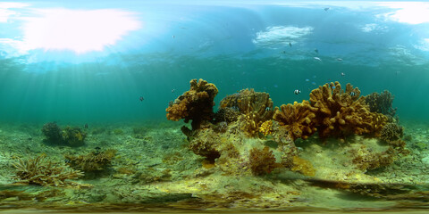 The Underwater World of the with Colored Fish and a Coral Reef. Tropical reef marine. Philippines. Virtual Reality 360.