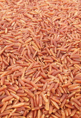 Red rice background or texture