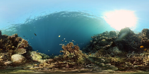 Fototapeta na wymiar Sea coral reef. Underwater Tropical Sea Seascape. Tropical fish reef marine. Philippines. Virtual Reality 360.