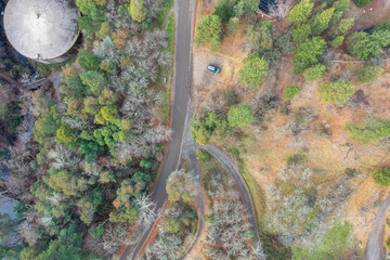 Above view of a road in the middle of an autumn forest