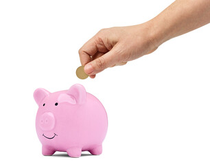 coin finance saving money piggybank business investment banking piggy bank pig wealth