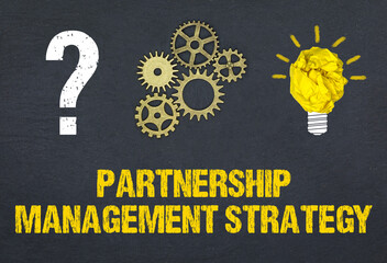 Partnership Management Strategy