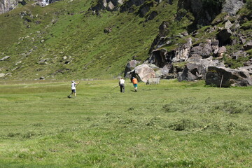 malga lana in valle aurina
