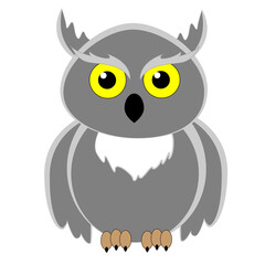 A serious and intelligent bird owl of gray color.