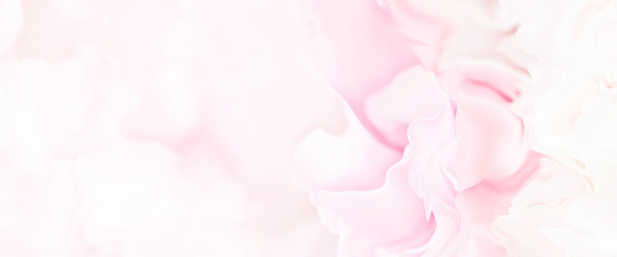 Pink rose petals background