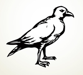 Fototapeta premium Big bird. Vector drawing icon sign