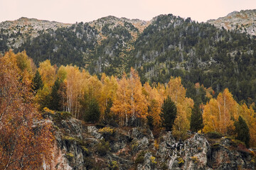 Rural panorama of mountains with green and autumn colours.