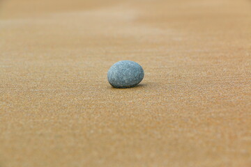 Fototapeta na wymiar Sandy beach with stones algea and wood