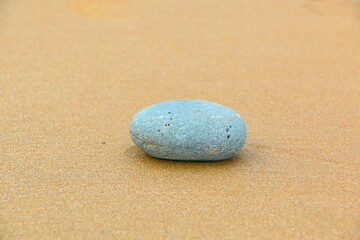 Fototapeta na wymiar Sandy beach with stones algea and wood