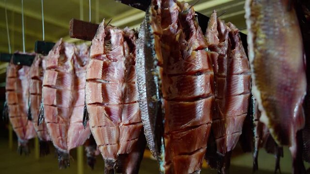 Fish Factory. Juicy Fish Fillet Ide is Dried in the Manufactory. Preparation for Smoking