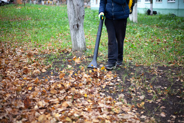 Cleaning leaves in the garden. A gardener uses an air turbine to blow dry leaves into one heap.