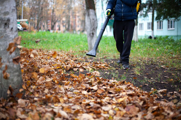 Cleaning leaves in the garden. A gardener uses an air turbine to blow dry leaves into one heap.