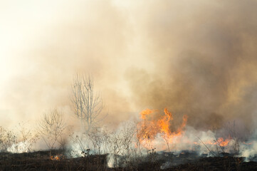 Autumn fire in the fields in the wild. Fire and smoke close up burning fields and forests