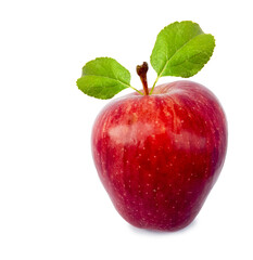 apple fruit leaf red isoated white backgroud