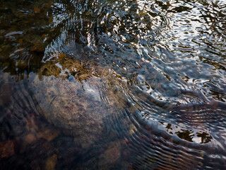 Wavy surface of water on shallow rapid stream with colorful gravel at bottom, running water in creek, intimate landscape