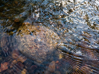 Wavy surface of water on shallow rapid stream with colorful gravel at bottom, running water in creek, intimate landscape