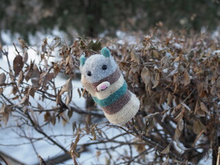 A lost children's multicolored woolen glove waiting for owner on an decorative decorative shrub. Selective focus. Quarantine by reason of coronavirus covid-19 virus threat. State of emergency.