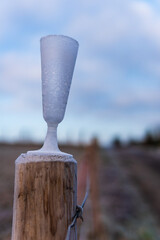 Naklejka na ściany i meble Frozen champagne glass left behind on a fence post after a party on new-year morning. Party leftover garbage in an icy wintery rural landscape after celebrating the new year. Low angle view.
