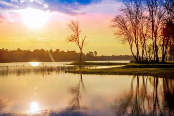 Fototapeta na wymiar Nice landscape with tree and lake on sunrise or sunset in autumn. morning