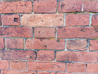 Obraz premium Red Brick Wall
