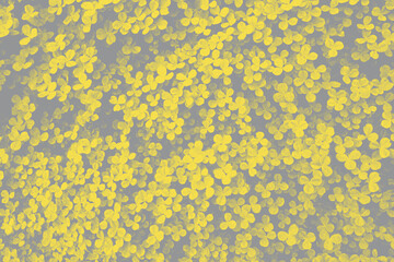 Fresh plant leaves close-up in trendy 2021 new colors. Illuminating Yellow and Ultimate Gray. Color of the Year 2021. Copy-space. Can use as banner