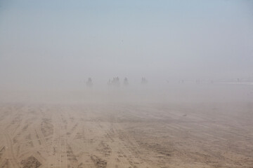 Fototapeta na wymiar fog on the beach