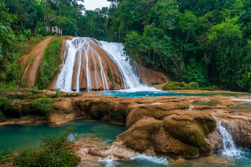 waterfall in the forest