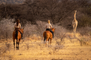 Blonde and brunette following giraffe on horseback