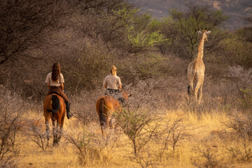 Blonde and brunette ride after southern giraffe