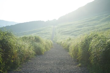road