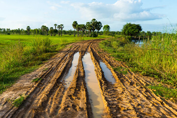 The rainy season in north eastern Thailand. Rural road are been developing. Government developed irrigation system and accessed road for farmer