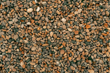 Peebles on Chisel Beach