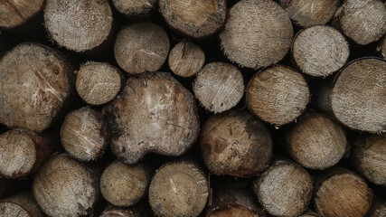 Woodstack dark moody structured natural forest background