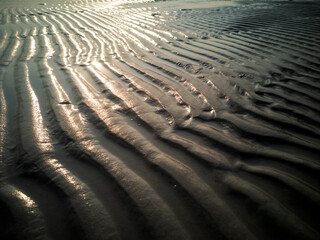 Wind Comb on the sand dunes.