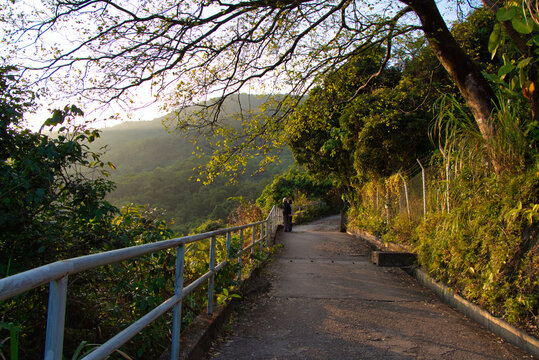 Tseung Kwan O, Hong Kong - 06.12.2020 : View Of The Wilson Trail Of Stage 3 Near Tseung Kwan O And Tiu Keng Leng Fresh Water Service Reservoir In Hong Kong