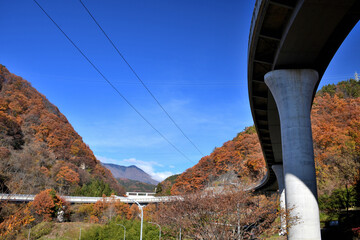 紅葉の中を通るループ橋