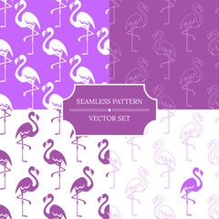 Set of seamless vector patterns with flamingo. Design suitable for textile, wallpaper, summer, leisure, website, wrapping paper. Isolated vector illustration