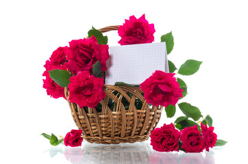 bouquet of beautiful red roses isolated on white