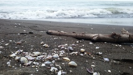 beach in the morning