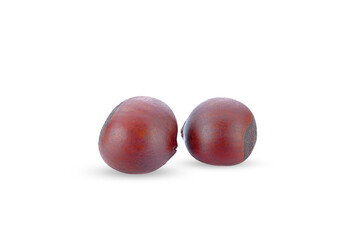 Chinese chestnut isolated on a white background