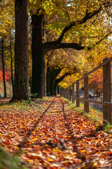 farbiges Laub am Boden