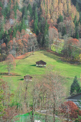 einzelnes Haus in den Bergen mit farbigen Bäumen im Hintergrund