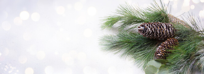 Christmas and New Year background banner with fir branches - White background with bokeh lights