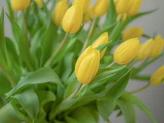 Obraz premium Bouquet of yellow tulips