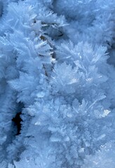 Fototapeta premium ice on the river